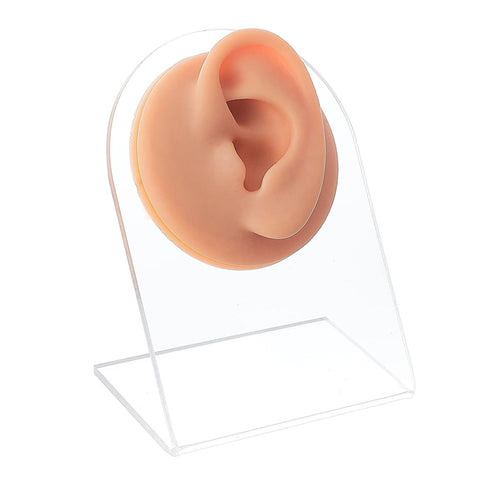 AM94-D : Silicone Ear Model Display