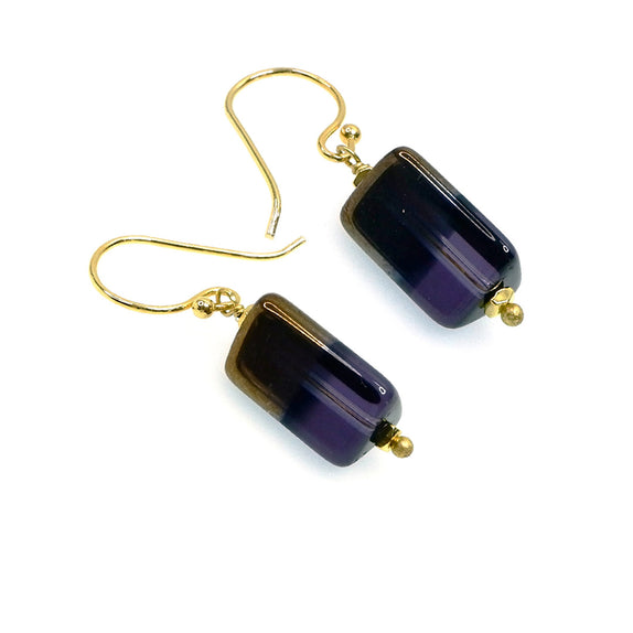 PHLE124b-PU :  Dichromatic oblong hook earrings