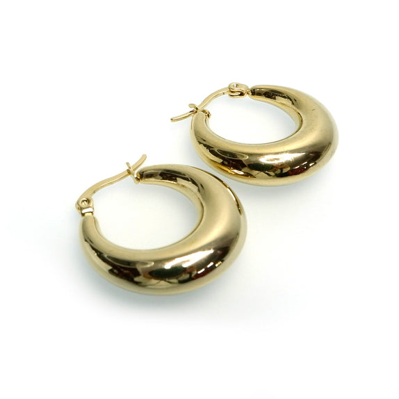 IAE01 : Gold Plated Stainless Steel Earrings