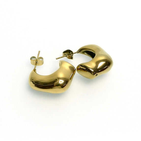 IAE03 : Gold Plated Stainless Steel Earrings