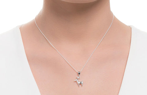 ICN14 : "Instinct & Belief" - Sterling Silver Necklace